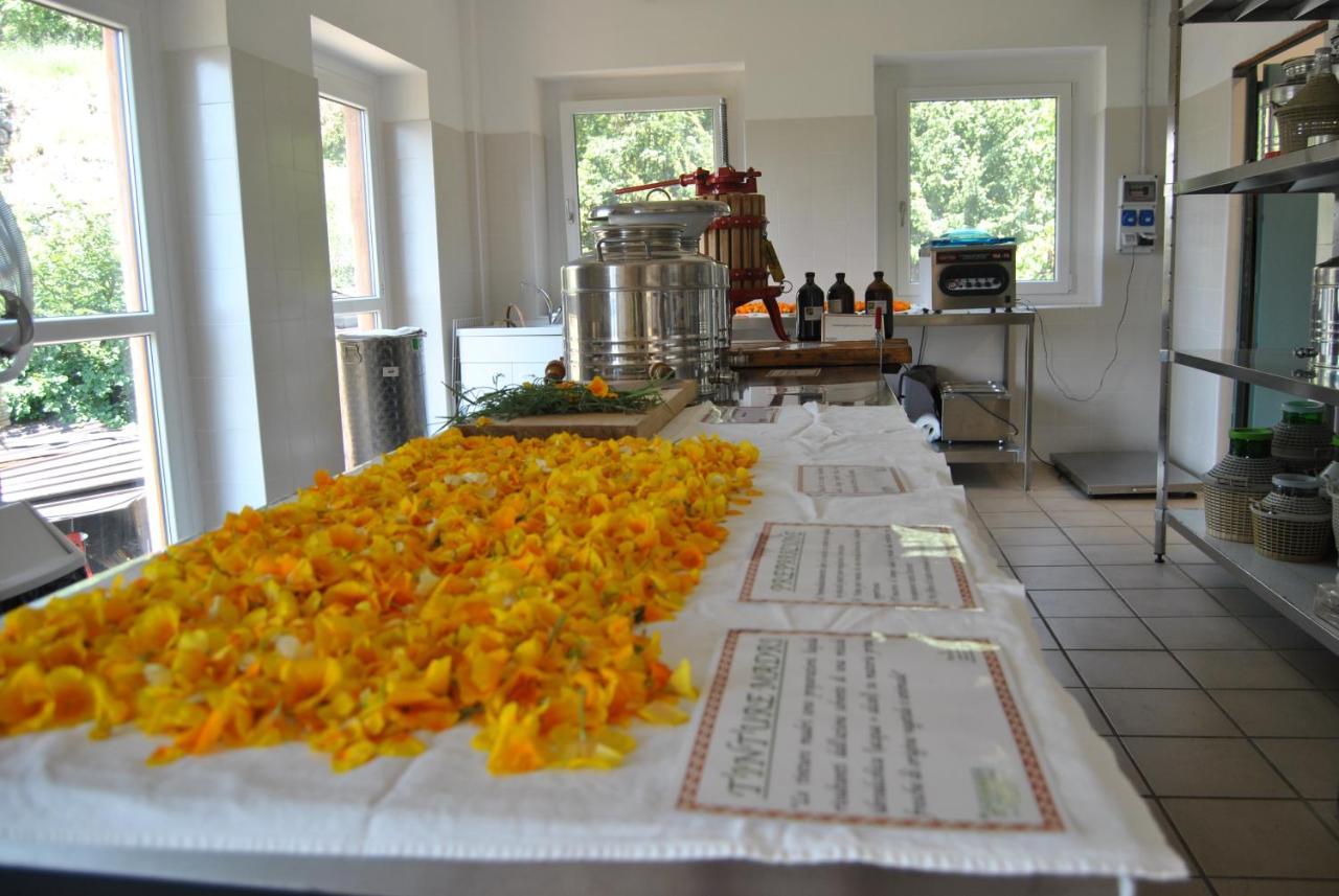 Bed and Breakfast Ca' Dei Fazzilisti Морі Екстер'єр фото